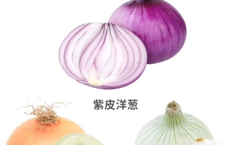 克里斯蜂胶功效网—知名的蜂胶的五大惊人功效网站,分享克里斯蛋白粉叫啥知识