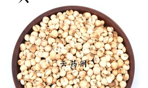 克里斯蜂胶功效网—知名的蜂胶的五大惊人功效网站,分享克里斯蛋白粉叫啥知识