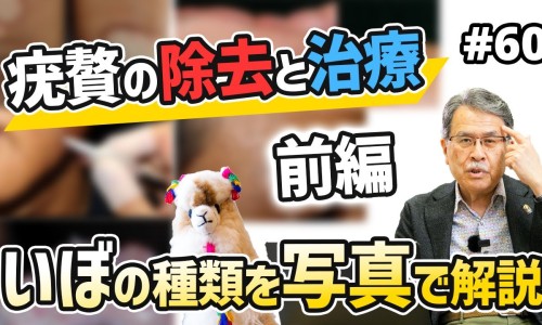 蜂胶的10大功效与作用-克里斯蜂胶功效网—知名的蜂胶的五大惊人功效网站,分享克里斯蛋白粉叫啥知识